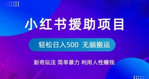 小红书援助项目新奇玩法,简单暴力,无脑搬运轻松日入500【揭秘】-闪越社