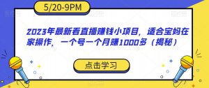 2023年最新看直播赚钱小项目,适合宝妈在家操作,一个号一个月赚1000多(揭秘)-闪越社