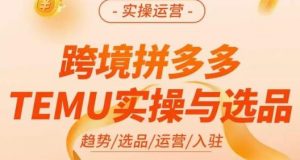 伍跃·跨境拼多多TEMU实操与选品,趋势/选品/运营/入住(27节完整)-闪越社