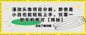 漫改头像项目分解，即使是小白也能轻松上手，仅需一部手机即可【揭秘】-闪越社