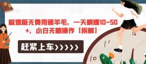 极速版无费用薅羊毛，一天躺赚10-50+，小白无脑操作【拆解】-闪越社