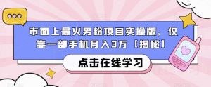 市面上最火男粉项目实操版，仅靠一部手机月入3万【揭秘】-闪越社