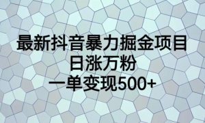 最新抖音暴力掘金项目，日涨万粉，一单变现500+【揭秘】-闪越社