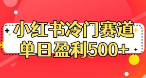 小红书冷门赛道，单日盈利500+【揭秘】-闪越社