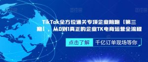 TikTok全方位通关专项企业陪跑【第三期】,从0到1真正的企业TK电商运营全流程-闪越社