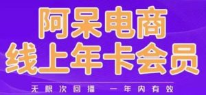 阿呆电商线上年会员，阿呆电商干货分享（更新中）-闪越社