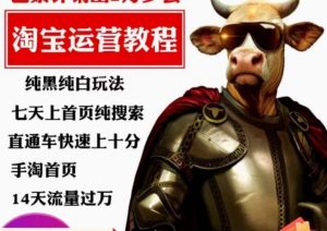 猫老师·淘系算法逆向解密,纯黑纯白玩法,七天上首页纯搜索,手淘首页14天流量过万-闪越社