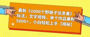 最新《1000个野路子信息差》玩法，文字视频，单个作品暴粉5000+，小白轻松上手【揭秘】-闪越社
