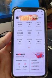 超级蓝海赛道保姆级教学,小红书无货源,无需实拍,如何做到日入1000+【揭秘】-闪越社