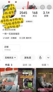 揭秘国学项目最新玩法，利用慈悲心疯狂敛财【揭秘】-闪越社