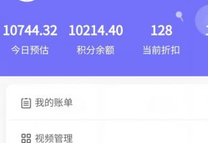 新手也能日入几百的冷门DIY项目，0基础全程实操【揭秘】-闪越社