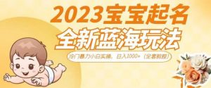 抖音美女图文+音乐推广5.0版本,单日单号500+,0本0粉可矩阵,五分钟一个视频【揭秘】-闪越社