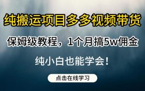 纯搬运项目多多视频带货保姆级教程,1个月搞5w佣金,纯小白也能学会【揭秘】-闪越社