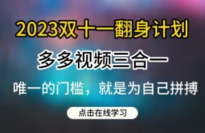 2023双十一翻身计划，多多视频带货三合一玩法教程【揭秘】-闪越社