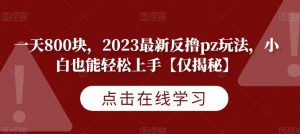 一天800块，2023最新反撸pz玩法，小白也能轻松上手【仅揭秘】-闪越社