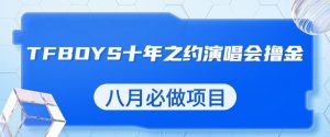 最新蓝海项目，靠最近非常火的TFBOYS十年之约演唱会流量掘金，八月必做的项目【揭秘】-闪越社