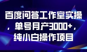 百度问答工作室实操,单号月产3000+,纯小白操作项目【揭秘】-闪越社