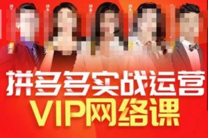 推易拼多多VIP全套直播课程，拼多多店铺实操玩法+实战玩法选款内功+直通车高阶等-闪越社