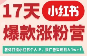 17天小红书爆款涨粉营（广告变现方向），教你打造小红书博主IP、接广告变现的-闪越社