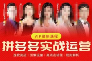 2023推易拼多多实战运营,选款测品、引爆流量、高点击转化、规则解析-闪越社