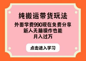 纯搬运带货玩法,外面学费990现在免费分享,新人无脑操作也能月入过万【揭秘】-闪越社