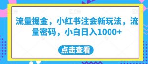 流量掘金，小红书注会新玩法，流量密码，小白日入1000+【揭秘】-闪越社