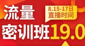 秋秋线上流量密训班19.0，打通流量关卡，线上也能实战流量破局-闪越社