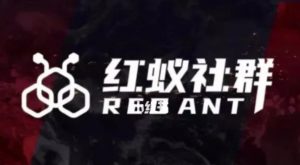 社群运营:红蚁社群【48节落地系统课程+2000人高端社群】-闪越社