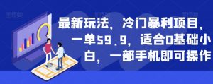 最新玩法，冷门暴利项目，一单59.9，适合0基础小白，一部手机即可操作【揭秘】-闪越社