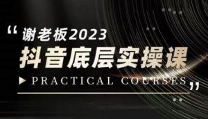 蟹老板·2023抖音底层实操课,打造短视频的底层认知-闪越社