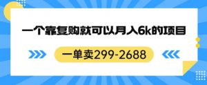 一单卖299-2688,一个靠复购就可以月入6k的暴利项目【揭秘】-闪越社