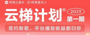 2023年8月份网易云最新独家挂机技术，真正实现挂机月入5000【揭秘】-闪越社