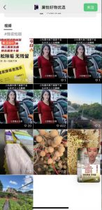 外面收费198的最新视频号连怼技术,条条原创,条条爆单【揭秘】-闪越社