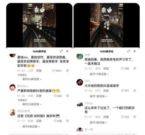 副业拆解:抖音杰伦音乐号涨粉变现项目,视频版一条龙实操玩法分享给你-闪越社
