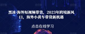 黑冰·海外短视频带货，2023年跨境新风口，海外小黄车带货新机遇-闪越社