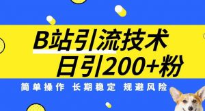 B站引流技术：每天引流200精准粉，简单操作，长期稳定，规避风险-闪越社