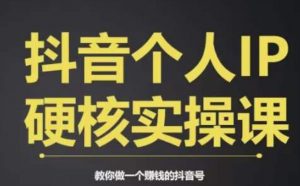 个人IP创富系统实战课,商业定位,流量打造,短视频变现,教你做个赚钱的抖音号-闪越社