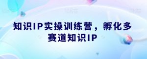 知识IP实操训练营，​孵化多赛道知识IP-闪越社