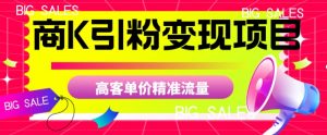 商K引粉变现项目,高客单价精准流量【揭秘】-闪越社