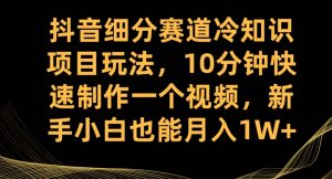 抖音细分赛道冷知识项目玩法，10分钟快速制作一个视频，新手小白也能月入1W+【揭秘】-闪越社