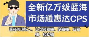 全新亿万级蓝海市场通惠达cps,最强管道收入,让你睡着赚、躺着赚、玩着赚、轻松赚【揭秘】-闪越社