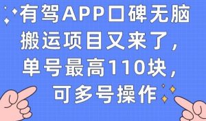 有驾APP口碑无脑搬运项目又来了，单号最高110块，可多号操作-闪越社