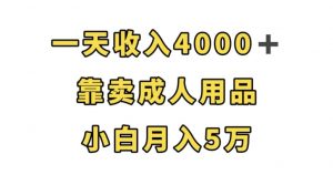 一天收入4000+,靠卖成人用品,小白轻松月入5万【揭秘】-闪越社