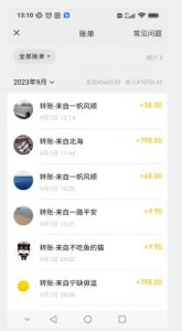 卖古籍电子书，作品只需要简单的图片去重，高客单价高利润，月入五位轻轻松松-闪越社