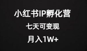 价值2000+的小红书IP孵化营项目，超级大蓝海，七天即可开始变现，稳定月入1W+-闪越社