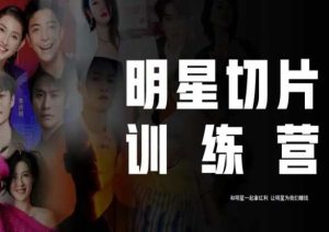 王子·明星切片线上训练营（2023），和明星一起拿红利，让明星为我们赚钱-闪越社
