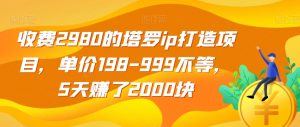 收费2980的塔罗ip打造项目，单价198-999不等，5天赚了2000块【揭秘】-闪越社