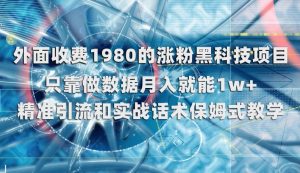 外面收费1980的涨粉黑科技项目，只靠做数据月入就能1w+【揭秘】-闪越社