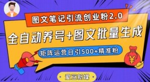 爱豆新媒:全自动养号+图文批量生成,日引500+创业粉(抖音小红书图文笔记2.0)-闪越社