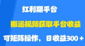 搬运视频获取平台收益，平台红利期，附保姆级教程【揭秘】-闪越社